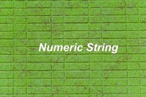 C#: How to Convert a Numeric String to Int/Double