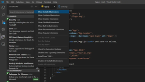 How to show all installed extensions in VS Code