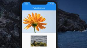 Using Local Images in Flutter