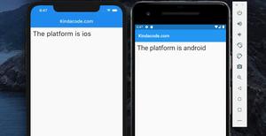 Flutter: Detect platform your app is running on