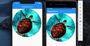 How to Create Round Images in Flutter