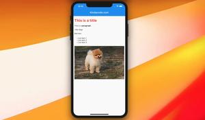 How to render HTML content  in Flutter