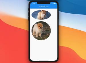 Examples of using ClipOval in Flutter