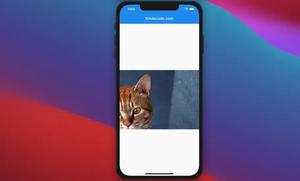 Using InteractiveViewer widget in Flutter