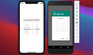 Implementing a Date Time picker in React Native