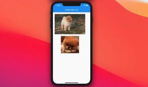 Flutter ConstrainedBox – Tutorial and Examples