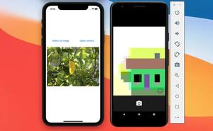 Using Image Picker and Camera in React Native (Expo)