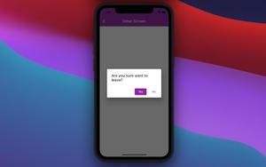 Flutter:  Ask for Confirmation when Back button pressed