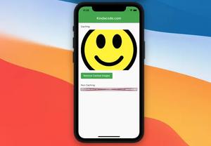 Flutter: Caching Network Images for Big Performance gains