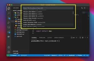 How to Change File Encoding in VS Code (2 approaches)