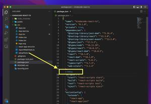 VS Code: Hide/Show the Debug button in package.json