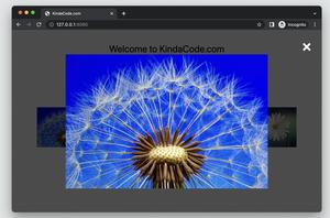 Tailwind CSS: How to Create Image Modals (Image Lightboxes)