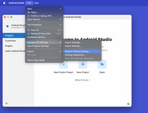 How to Reset Android Studio to the Default Settings