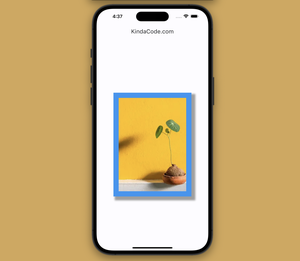 Adding a Border to an Image in Flutter (3 Examples)