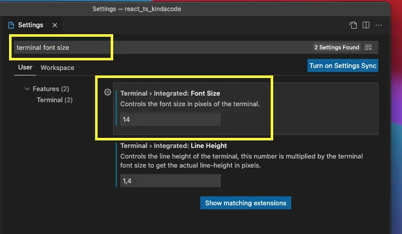 VS Code 3 Ways To Change Terminal Font SIze KindaCode