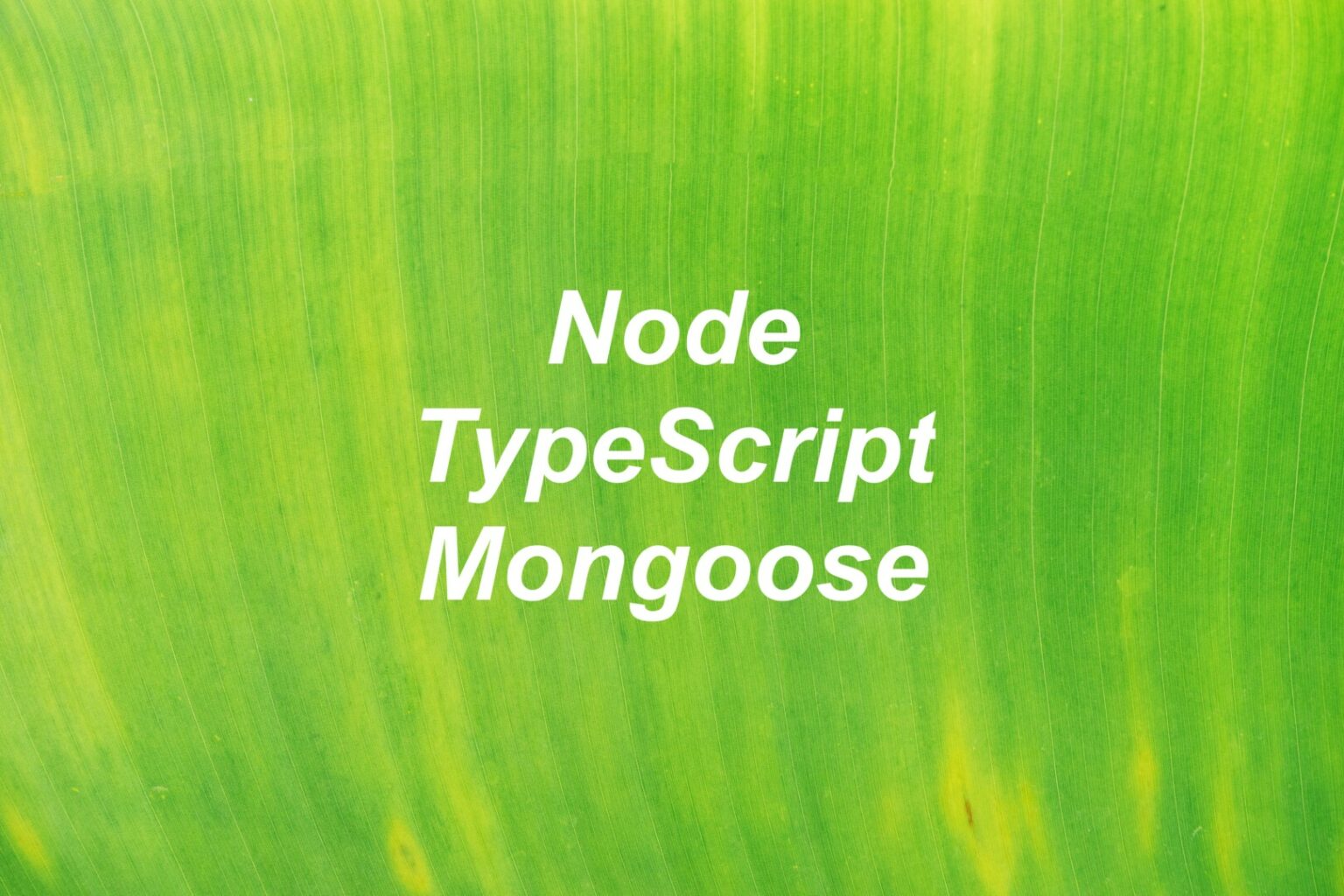 node-mongoose-typescript-defining-schemas-and-models-kindacode