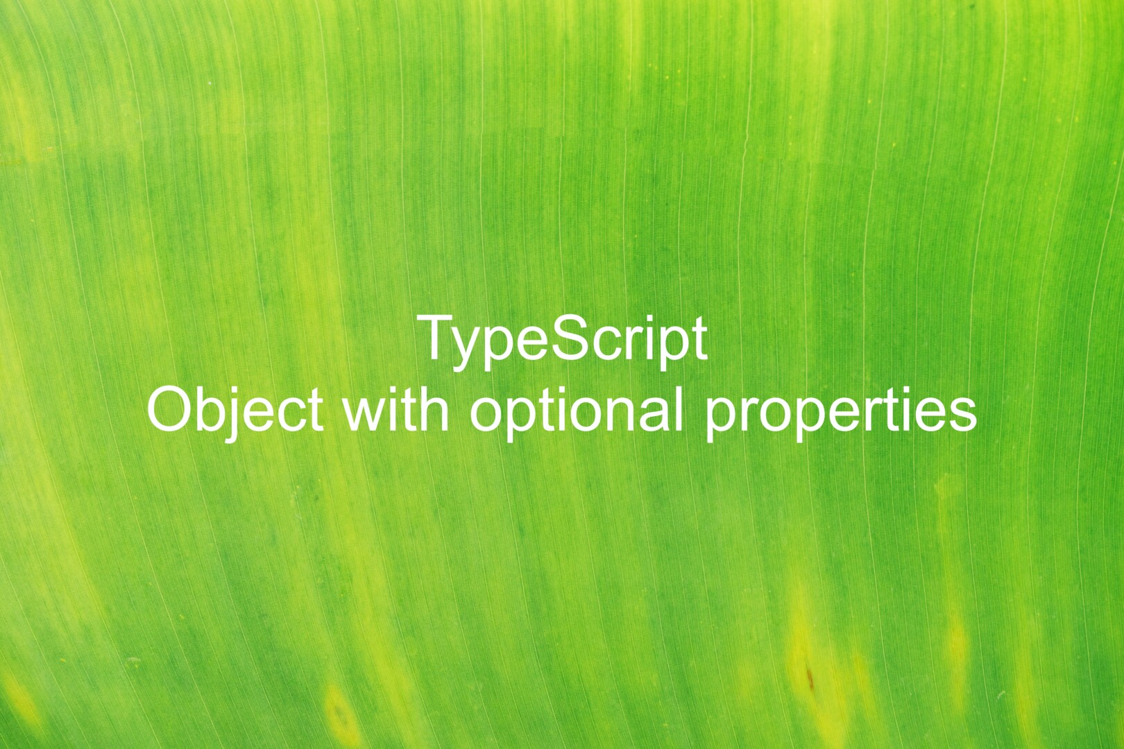 typescript-fundamentals-with-michael-north-learn-to-master-typescript